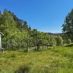 7 Bedroom Amazing In Nedre Vats *