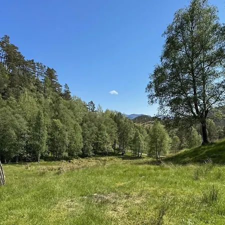 7 Bedroom Amazing In Nedre Vats Stokka