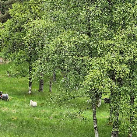 7 Bedroom Amazing In Nedre Vats Stokka