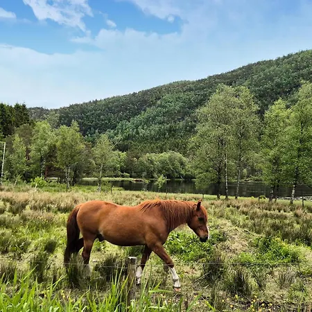 7 Bedroom Amazing In Nedre Vats Дом отдыха Stokka