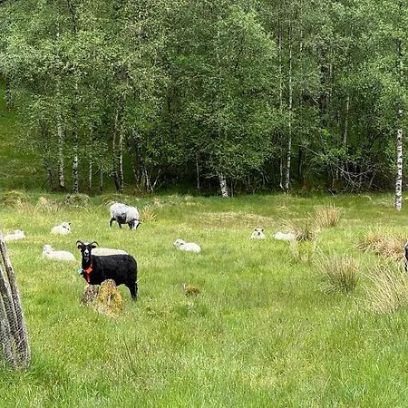 7 Bedroom Amazing In Nedre Vats Дом отдыха *