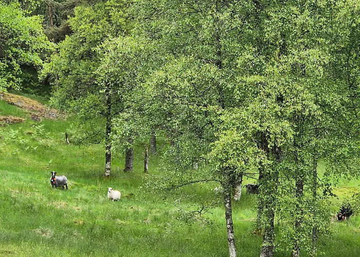 7 Bedroom Amazing In Nedre Vats Stokka