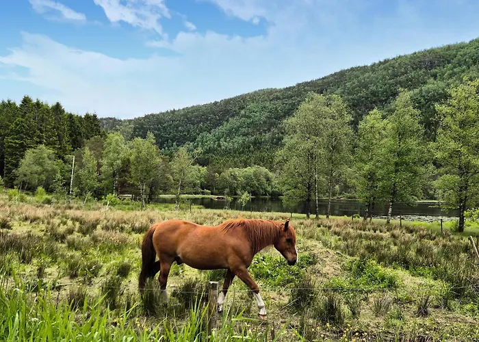 7 Bedroom Amazing In Nedre Vats Feriehus Stokka