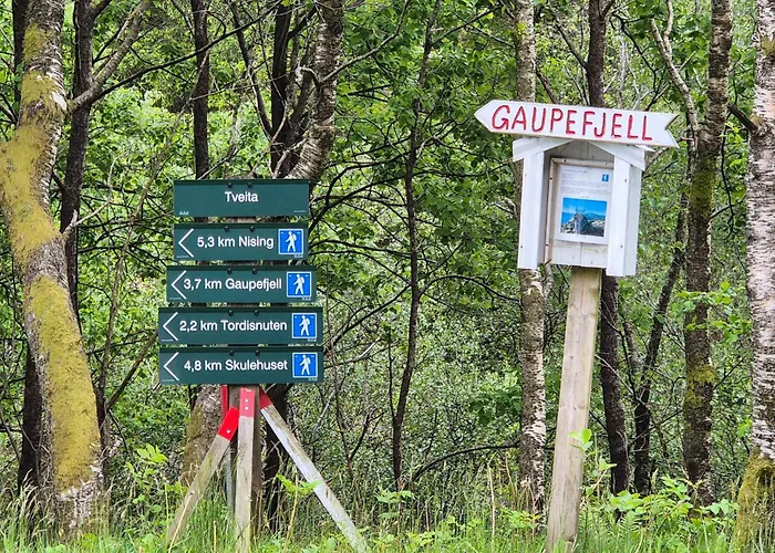 7 Bedroom Amazing In Nedre Vats Stokka