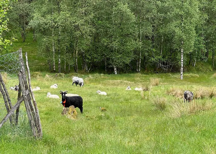 7 Bedroom Amazing In Nedre Vats Feriehus *